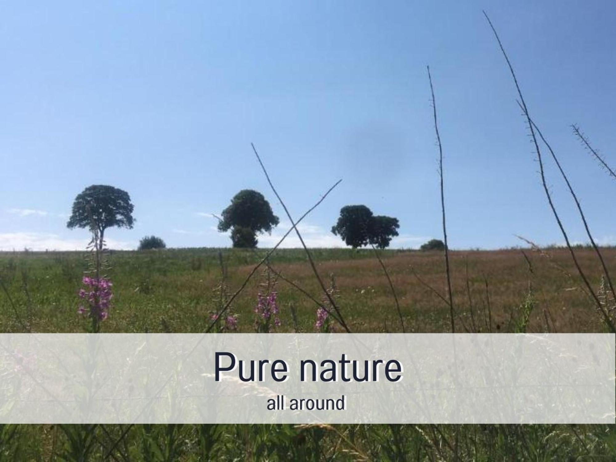 Paulis Cozy 4-Bedroom Vacation Home - With 4 Bathrooms Sun Terrace & Sauna, Nice To Hike & Bike, To Chil & Meet Bullange/Büllingen Esterno foto